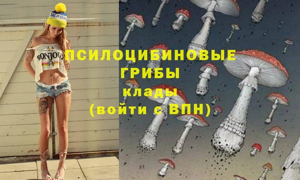 спайс Снежногорск