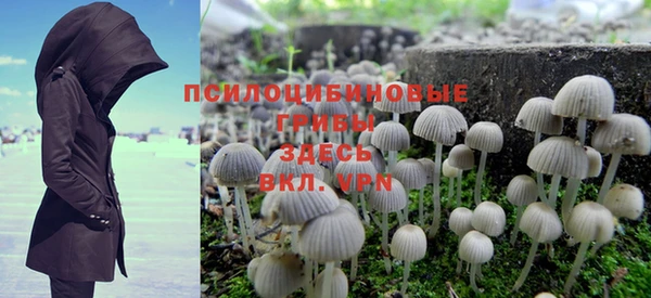 ПСИЛОЦИБИНОВЫЕ ГРИБЫ Армянск