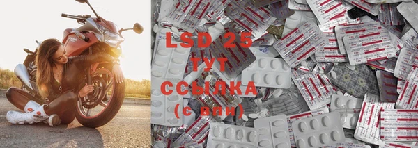 спайс Снежногорск