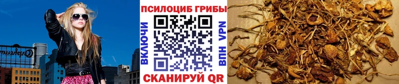 Галлюциногенные грибы GOLDEN TEACHER  Шацк 