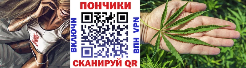 kraken онион  Шацк  Бошки Шишки SATIVA & INDICA 